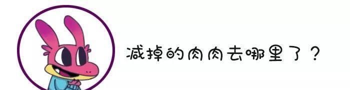  吃多|肉肉是怎么来的？怎么减掉的？｜能看懂的人都瘦了……