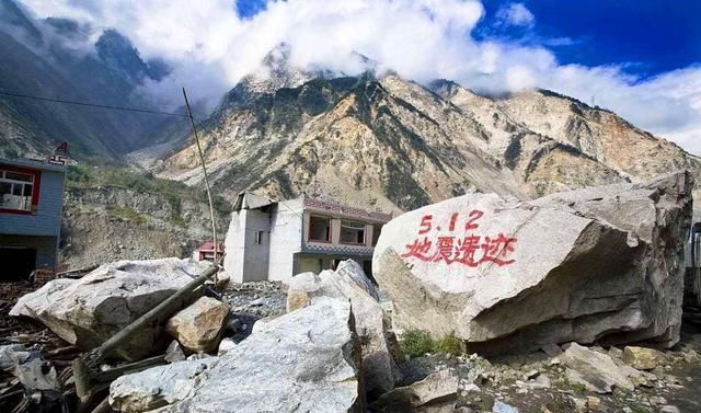 地震|12年前汶川大地震，突出重围幸存的“猪坚强”，如今怎么样了