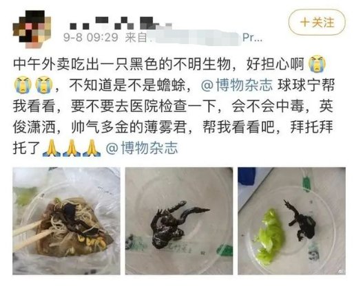 女子|“天呐，癞蛤蟆！”女子点了份外卖，看吐上万人，商家回应让人窒息！