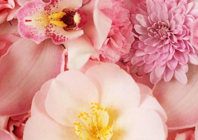 神秘莫测|喜欢“伪装”自己的星座, 不轻易袒露内心, 让人觉得神秘莫测