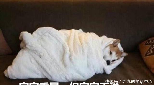 适合|让人忍不住点赞的搞笑文案,轻松幽默,适合发朋友圈!