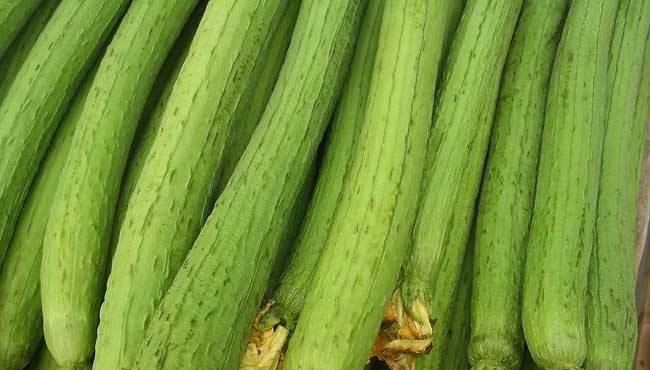 夏天|夏天来了,不妨多吃以下蔬菜,健脾补肾、清热降火,润肠通便