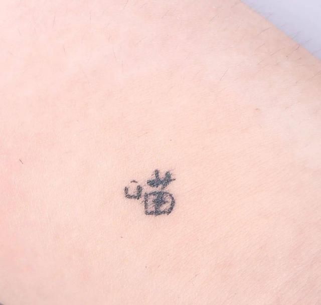  测评|美妆蛋PK：168块的就这点好用！