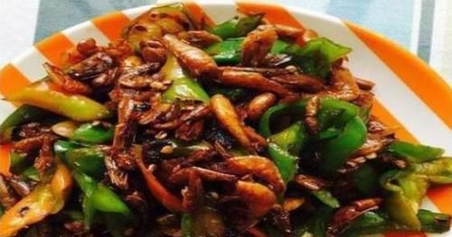 荔枝|精选几道超级美味家常菜,简单的不得了,超下饭,老公直夸我能干