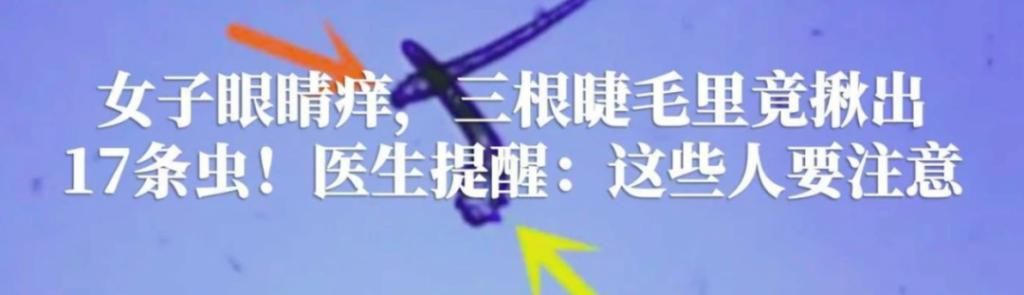  坐到|监控里两男子坐到了车顶上，奇葩的举措竟是因为......