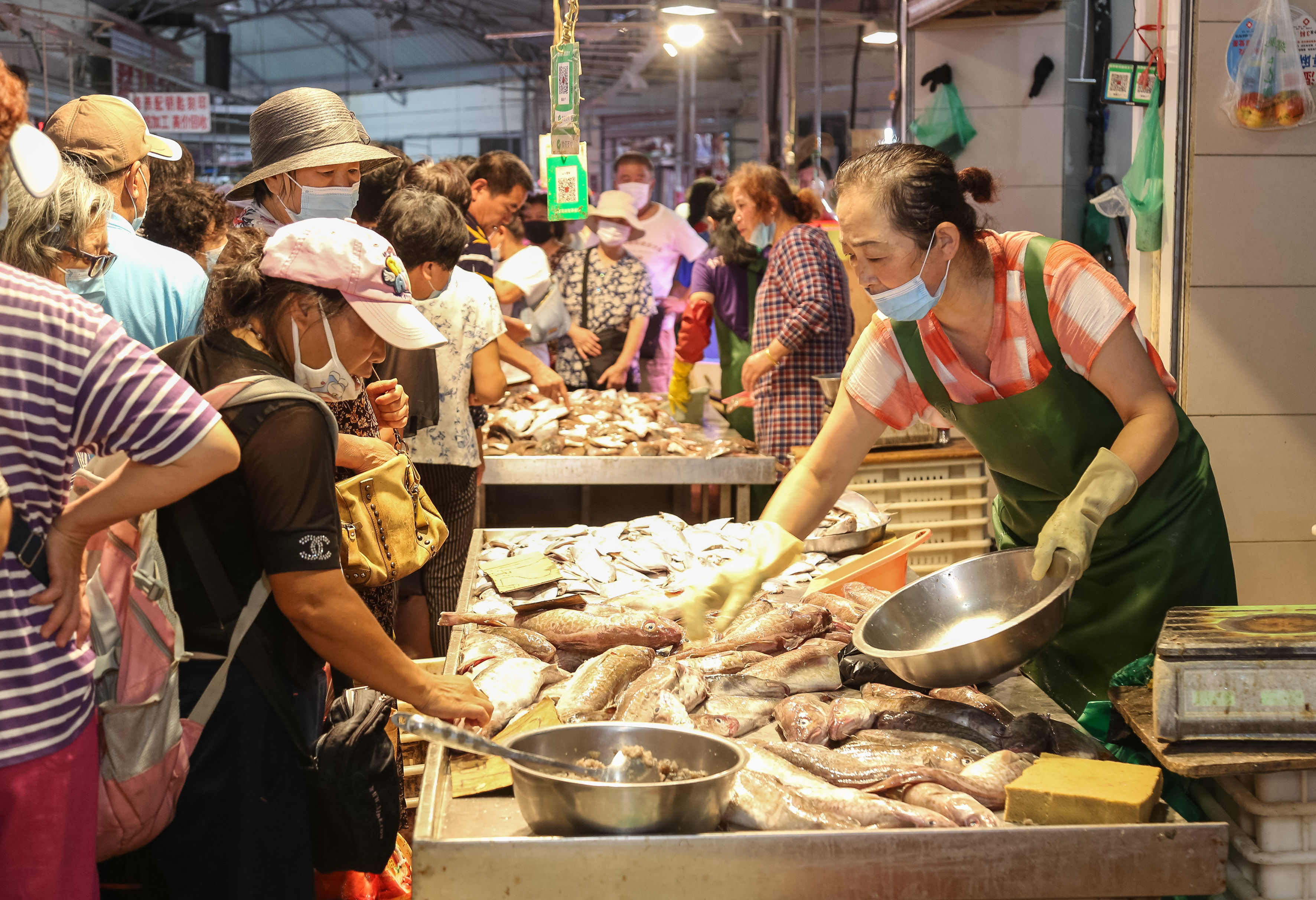 大连|大连开海后本地鲜活海产品引来“报复性消费”