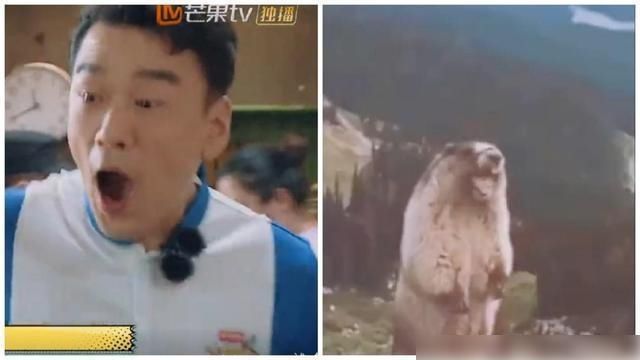  规则|以为是姐姐的姊妹篇就错了，《元气满满的哥哥》承包我暑期的笑点