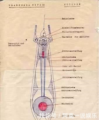 著名|算错一个数据,德国原子弹计划搁浅,无意间拯救了全世界