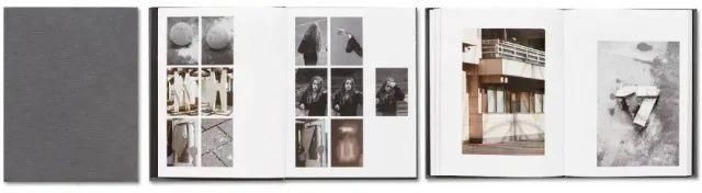  停用|摄影圈｜佳能宣布所有新产品停用两个术语 / 女摄影师凭水中拍鸟成北美打鸟第一人