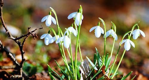  送给|适合发朋友圈的早安短句，经典有个性，送给深夜无眠的你