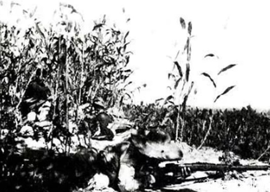 伪军|民兵提前开枪暴露埋伏,八路伏击变刺刀冲锋,50多日军瞬间被放倒