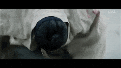  独居|顶流男神58亿独居豪宅大曝光，中韩网友全傻眼：猫也有独卫？！