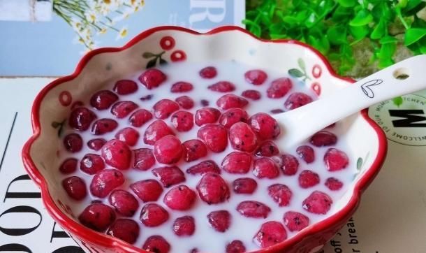  珍珠|自制火龙果阿达籽！颜值爆棚，比珍珠好吃百倍