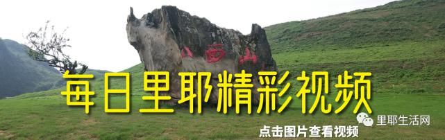 人信用报告|保靖男子“被贷款”20万致征信不良，原来是银行审核不严造成