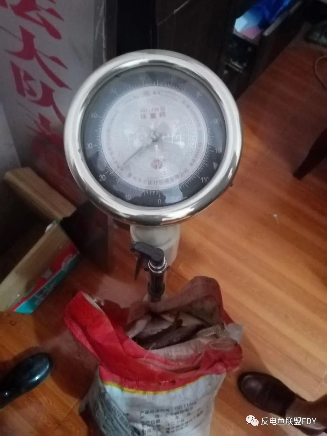 九公桥|湖南邵阳:泥鳅属性的电鱼人,一溜再溜!