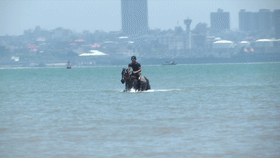  马冲进|3男子骑马冲进海里救起12岁男孩！半个月后，噩耗传来…