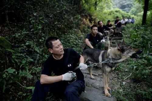 曾春亮|曾春亮被抓：摩托车可能藏在山下，被搜山的警方逼下山来