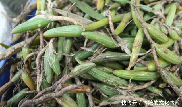 肠胃|肠胃不适可以吃它,还能清热化痰,用来烹饪味道更佳!