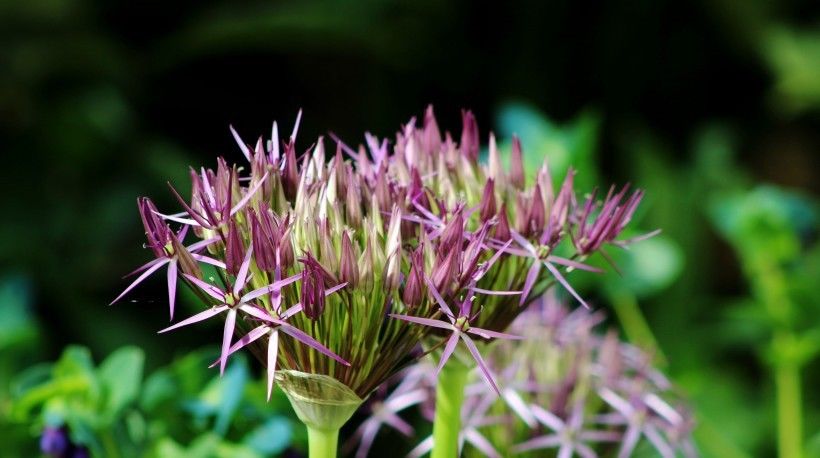  满面|未来30天，爱情将至！4大生肖桃花入命，正缘降临，春光满面