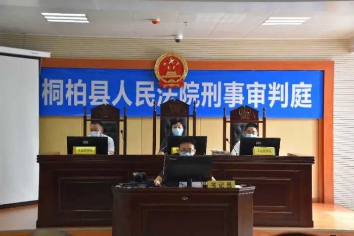  主犯|桐柏公安打掉的白某某恶势力犯罪集团主犯被判13年罚金45万