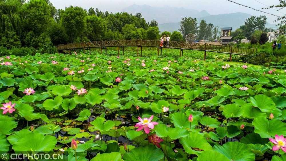 乡村|河北涉县：建设美丽乡村