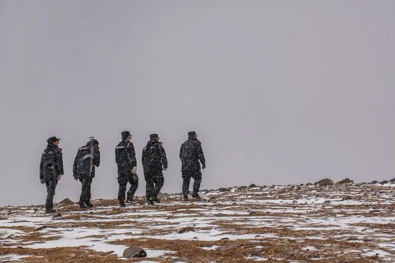  深圳|可可西里的守护者！深圳男子用镜头记录荒原上的藏羚羊