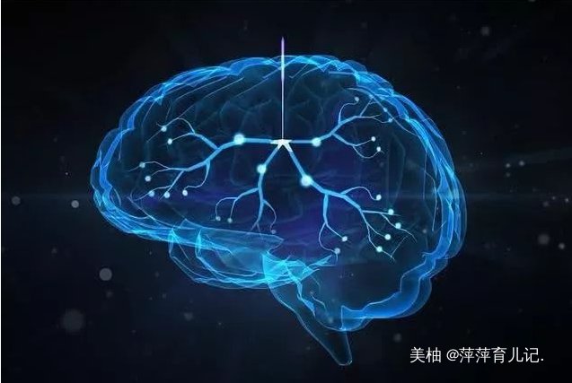 交流的孩子|睡前常对孩子做这3件“小事”，促进大脑发育，娃一天比一天聪明