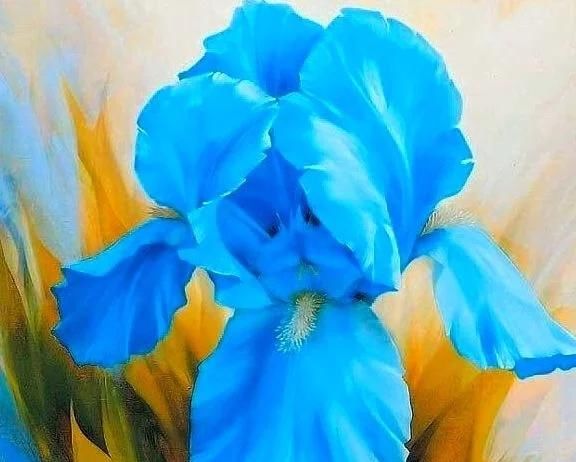 岁月|淡看花开花落，细品时光静好，尽享岁月安然