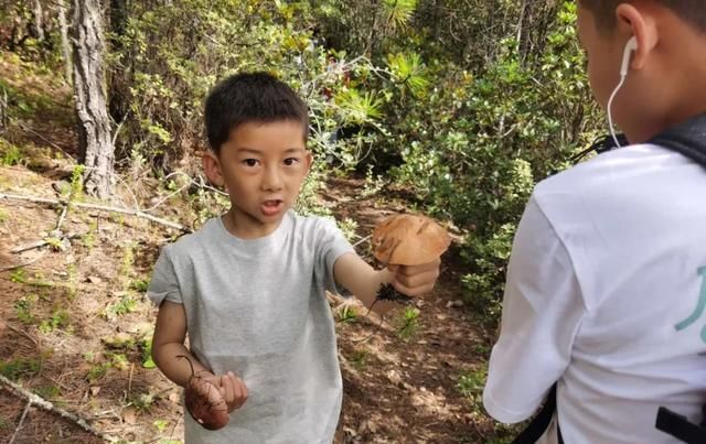  随手|夏天过半，这口得赶紧啦！随手一炒就贼香
