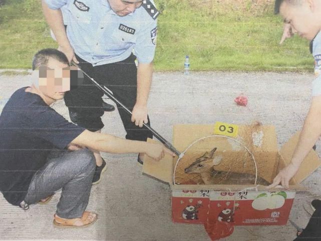 告人赖某|利益熏心经营“特殊野味”,这名餐馆老板获刑2年10个月!