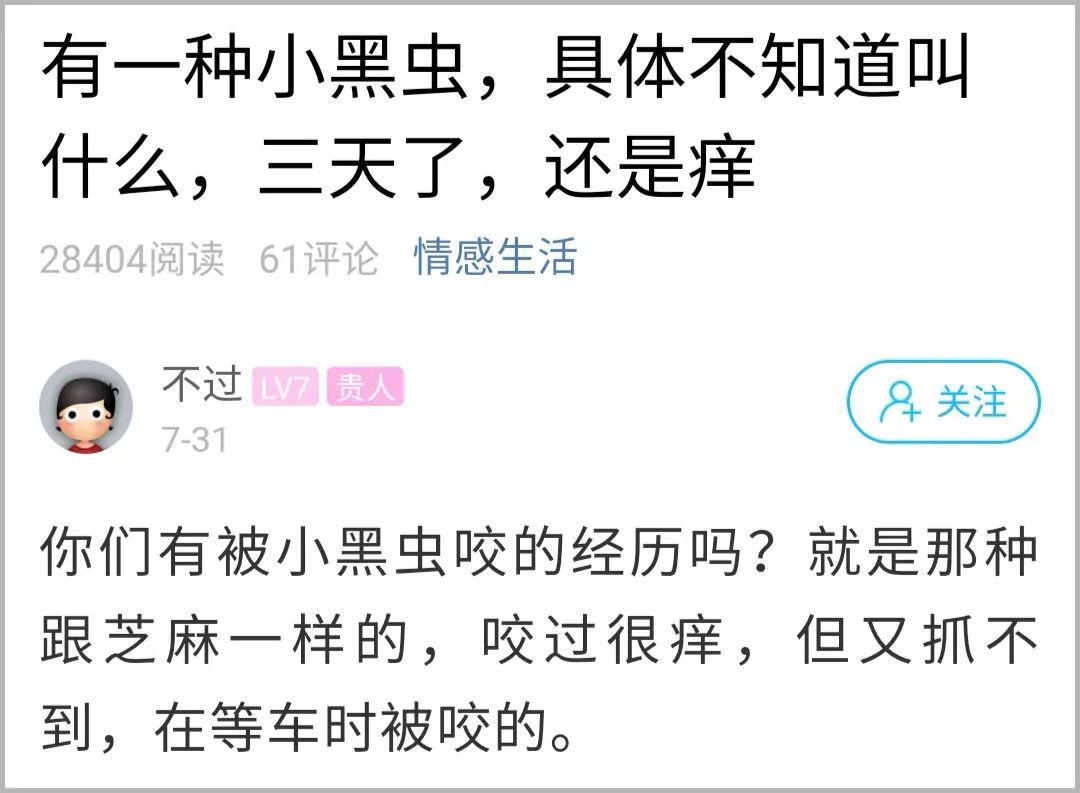  湘湖|杭州小伙去湘湖走了一圈，双腿被咬成这样！最近多人中招