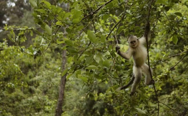  只能|如果今年只能来一次，走这条路线就对了！