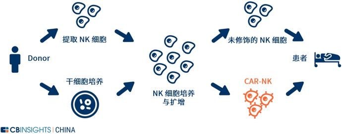  NK|CAR-T颠覆者？NK细胞疗法全球主要玩家进展剖解