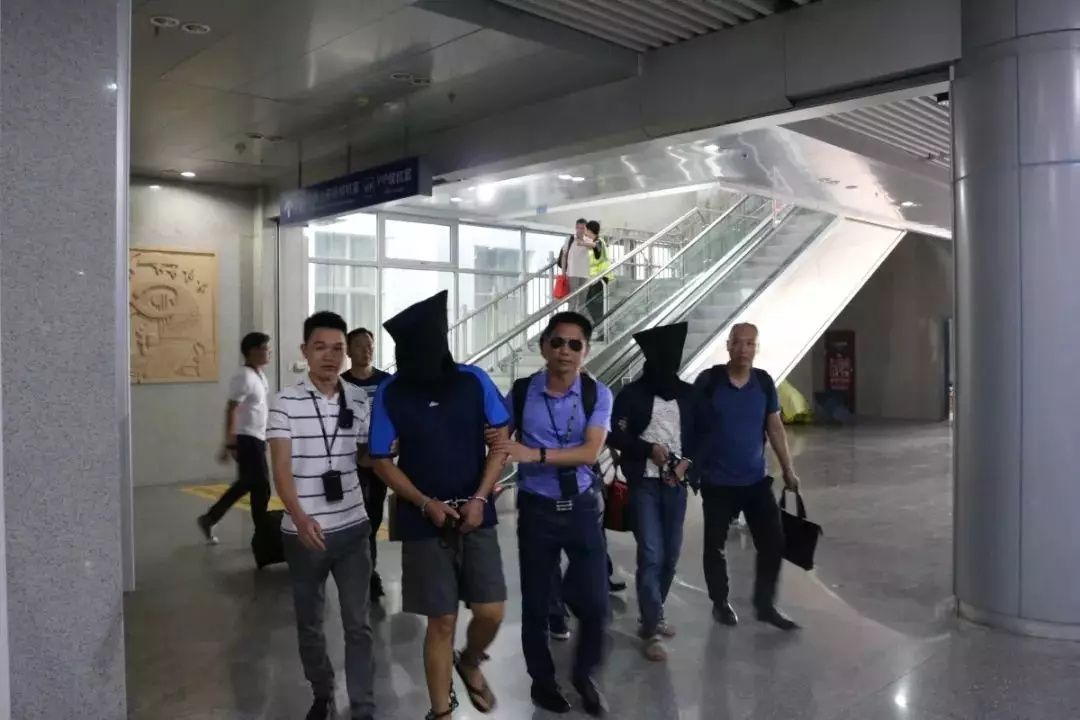 抓到|抓到了！悬赏50万涉黑逃犯归案！