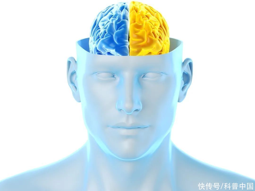 为啥洗澡时总是文思泉涌(为啥洗澡时总是文思泉涌，原来是因为……)