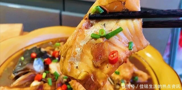 鱼头|原来鱼身上“最贵”的部位是它,很多人白给都不要,懂的人抢着买