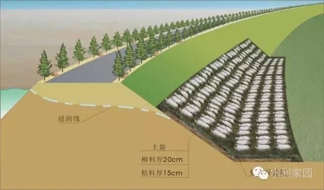  反滤铺盖|必看 | 堤防抢险技术