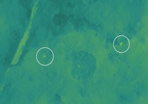 救援|空地协同保救援,经纬 M300 RTK 助力警方深夜搜救走失老人