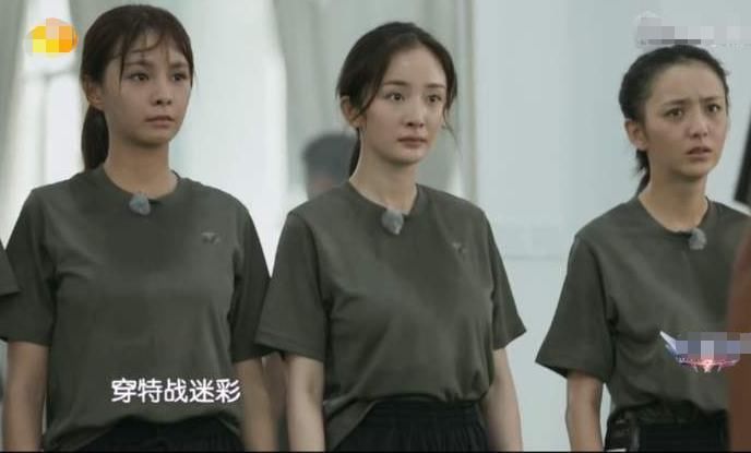  不少|“遭停播”的6档综艺，杨紫杨幂各占一档，最后一档毁了太多人被禁播