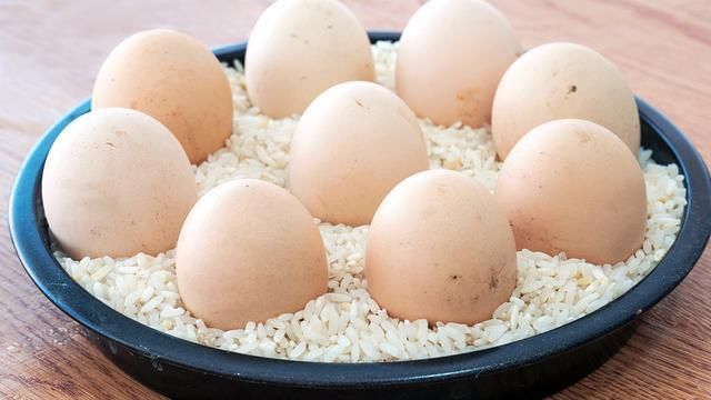  保存|养鸡大户透露，保存鸡蛋有秘诀，绝对不是放冰箱，放半年都不易坏！