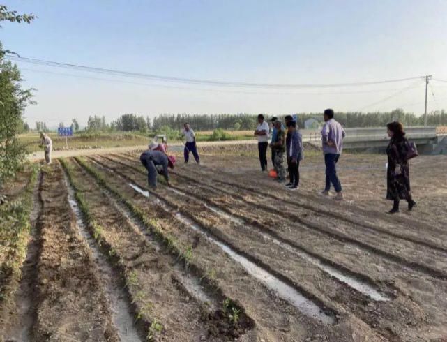  朱庙村|单克文｜铜山区“五星”村书记