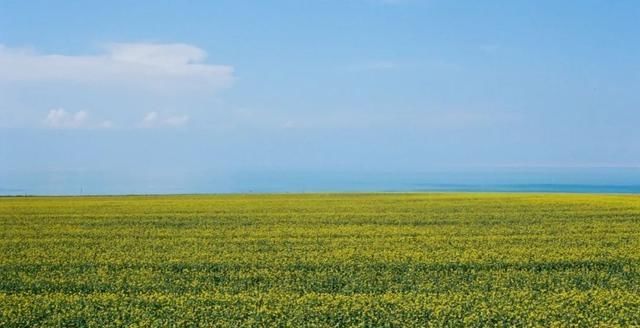  计划|来不了新疆，没关系，我们还有大西北！| 沙丁鱼计划