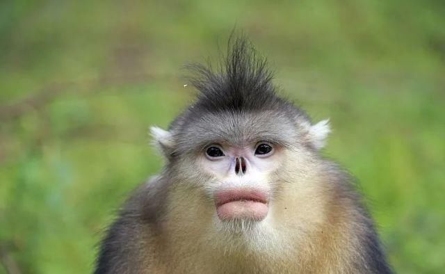 生长|云之南，一个生生不息、万物生长的地方