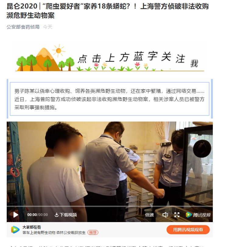 收购|看着都怕!男子在家中养了18条蟒蛇!上海警方侦破非法收购濒危野生动物案