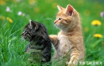 损失|TA的离开,是TA的损失,你会比TA过得更好