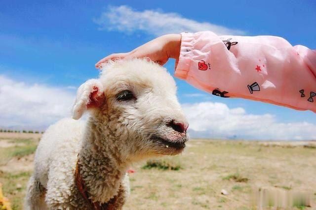 大爷|北方人为啥喜欢把父亲叫“大”?有些地方,还有把母亲叫“姐”的