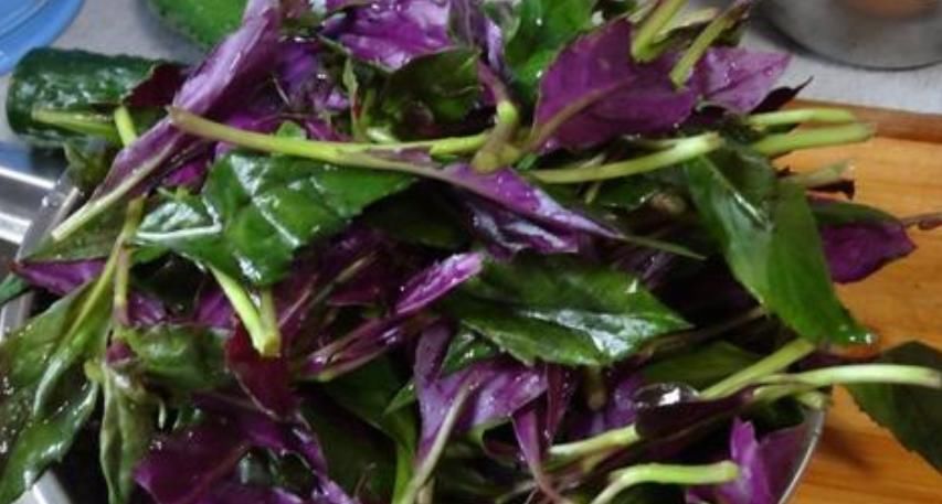补血菜|多食这种蔬菜可以缓解便秘，增强免疫力，促进体内新陈代谢