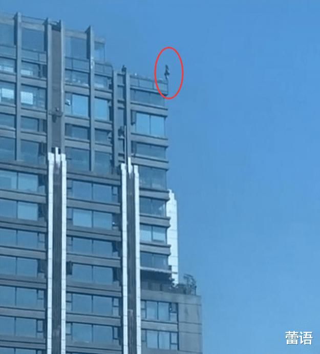 女孩|年轻女孩站30层楼顶欲轻生,双脚大半悬空中,男友下跪磕头道歉