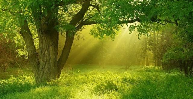  喜事|7月28.29.30.31日喜事不断，8月上旬，咸鱼翻身成功转运的生肖，有你吗？