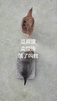 估计|搞笑GIF：妹纸估计不会再跟你打篮球了吧？